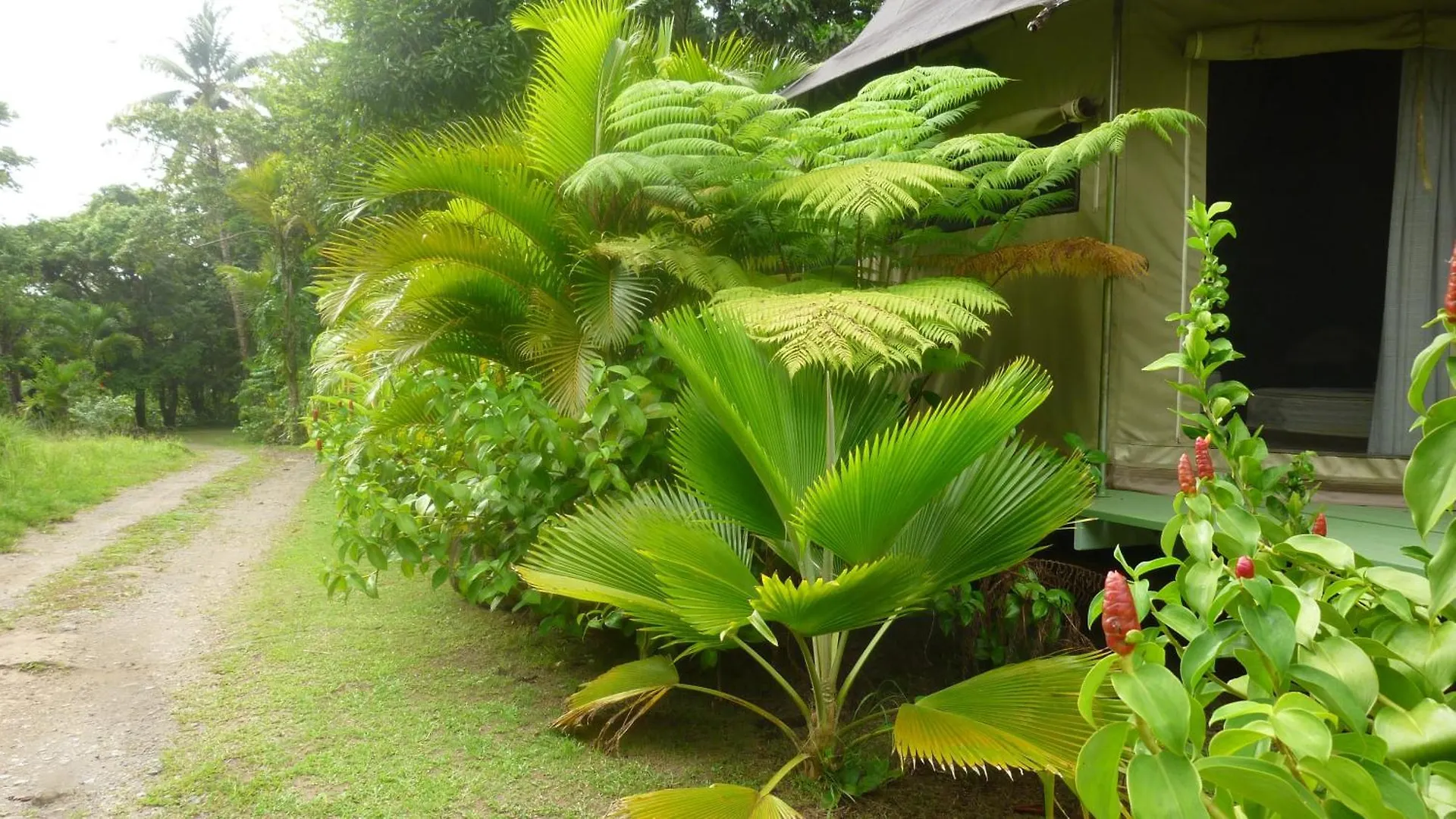 Citrus Creek Plantation Villa La Plaine Lodge
