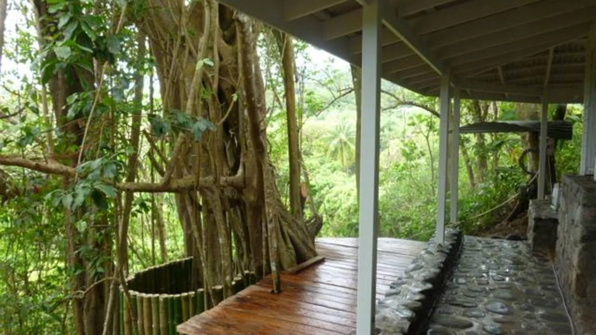 Lodge Citrus Creek Plantation Villa La Plaine