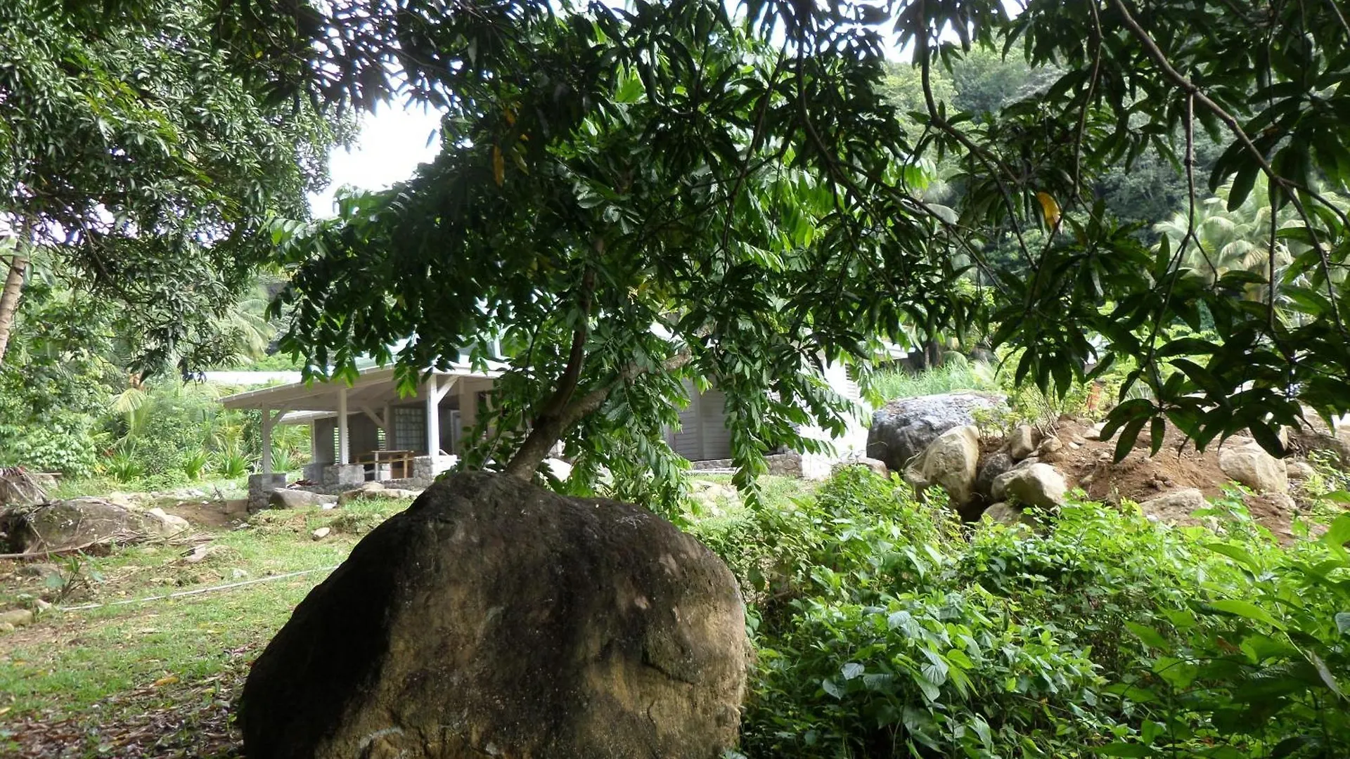 Lodge Citrus Creek Plantation Villa La Plaine Dominica