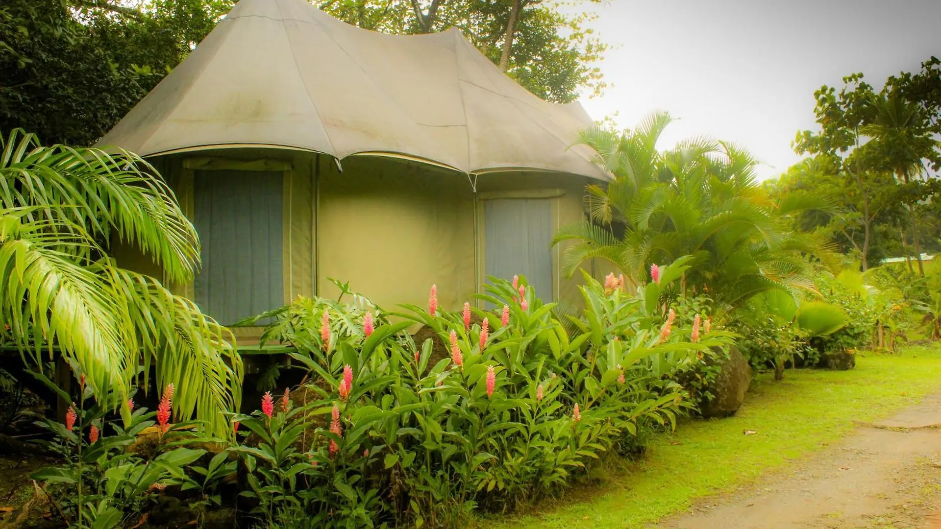 Lodge Citrus Creek Plantation Villa La Plaine Dominica