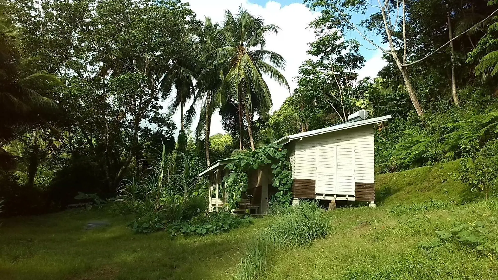 Citrus Creek Plantation Villa La Plaine