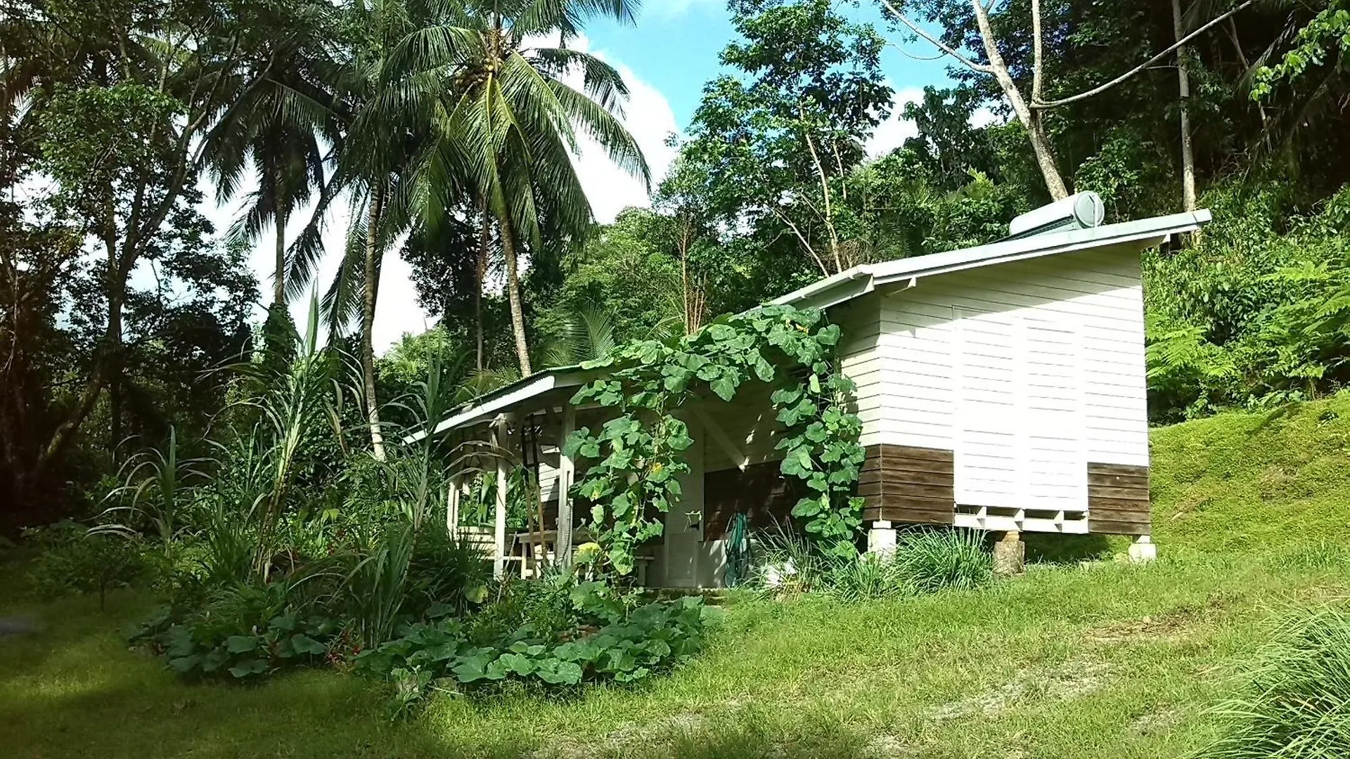 Lodge Citrus Creek Plantation Villa La Plaine