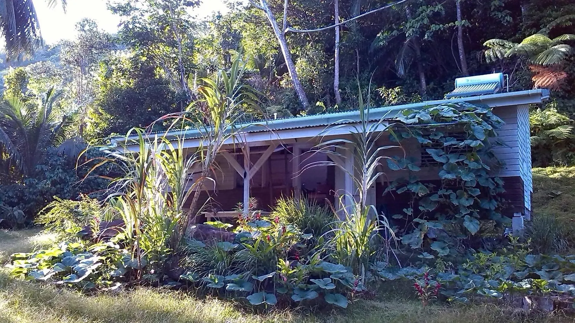 Citrus Creek Plantation Villa La Plaine Dominica