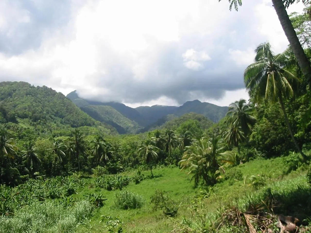 Lodge Citrus Creek Plantation Villa La Plaine Dominica