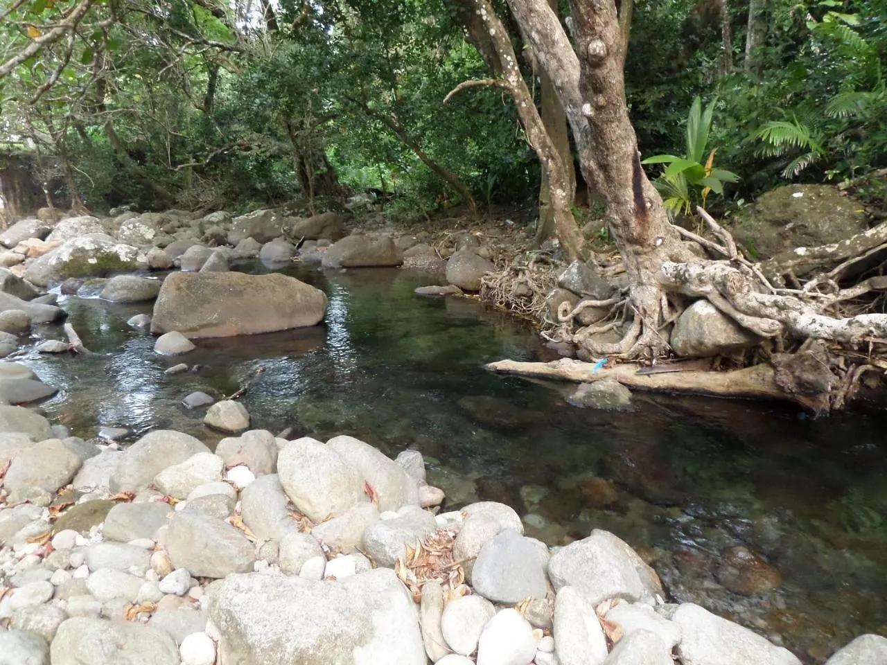 Citrus Creek Plantation Villa La Plaine 0*,  Dominica