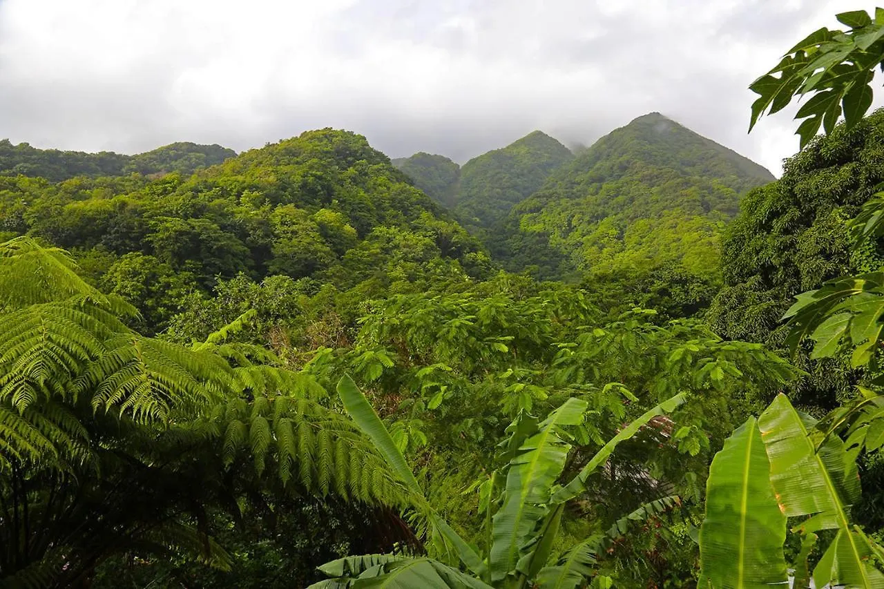 Lodge Citrus Creek Plantation Villa La Plaine Dominica